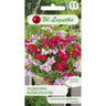 Saszetka nasion pelargonii bluszczolistnej Speedy F2 W. Legutko