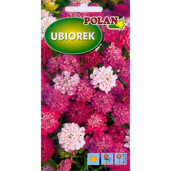 Saszetka nasion ubiorka hiacyntowego liliowego Polan, 2 g