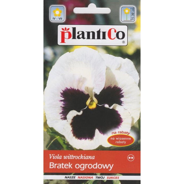 Saszetka nasion bratka ogrodowego białego PlantiCo