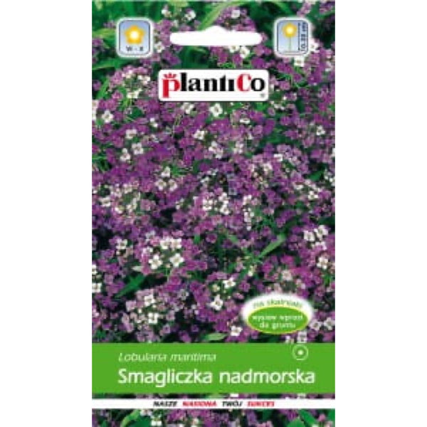 Saszetka nasion smagliczki nadmorskiej różowo-fioletowej PlantiCo, 0,5 g