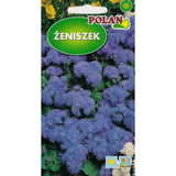Saszetka nasion żeniszka meksykańskiego niebieskiego Polan, 0,3 g