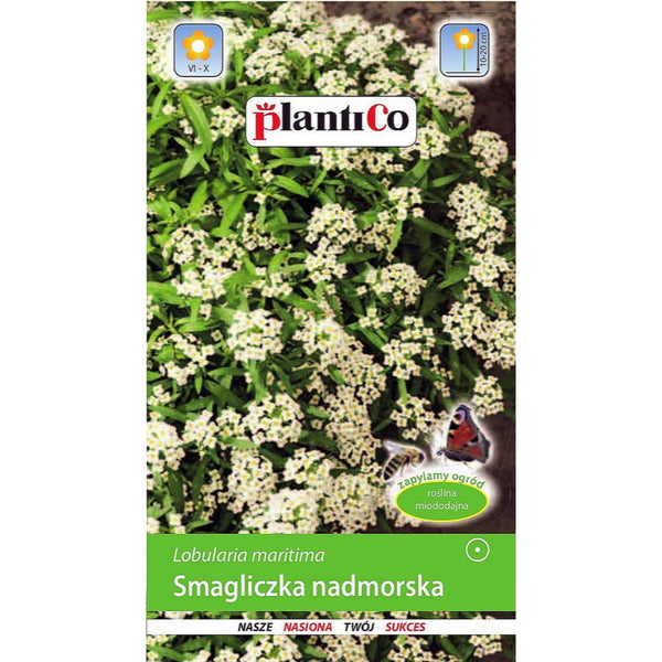 Saszetka nasion smagliczki nadmorskiej białej PlantiCo, 1 g
