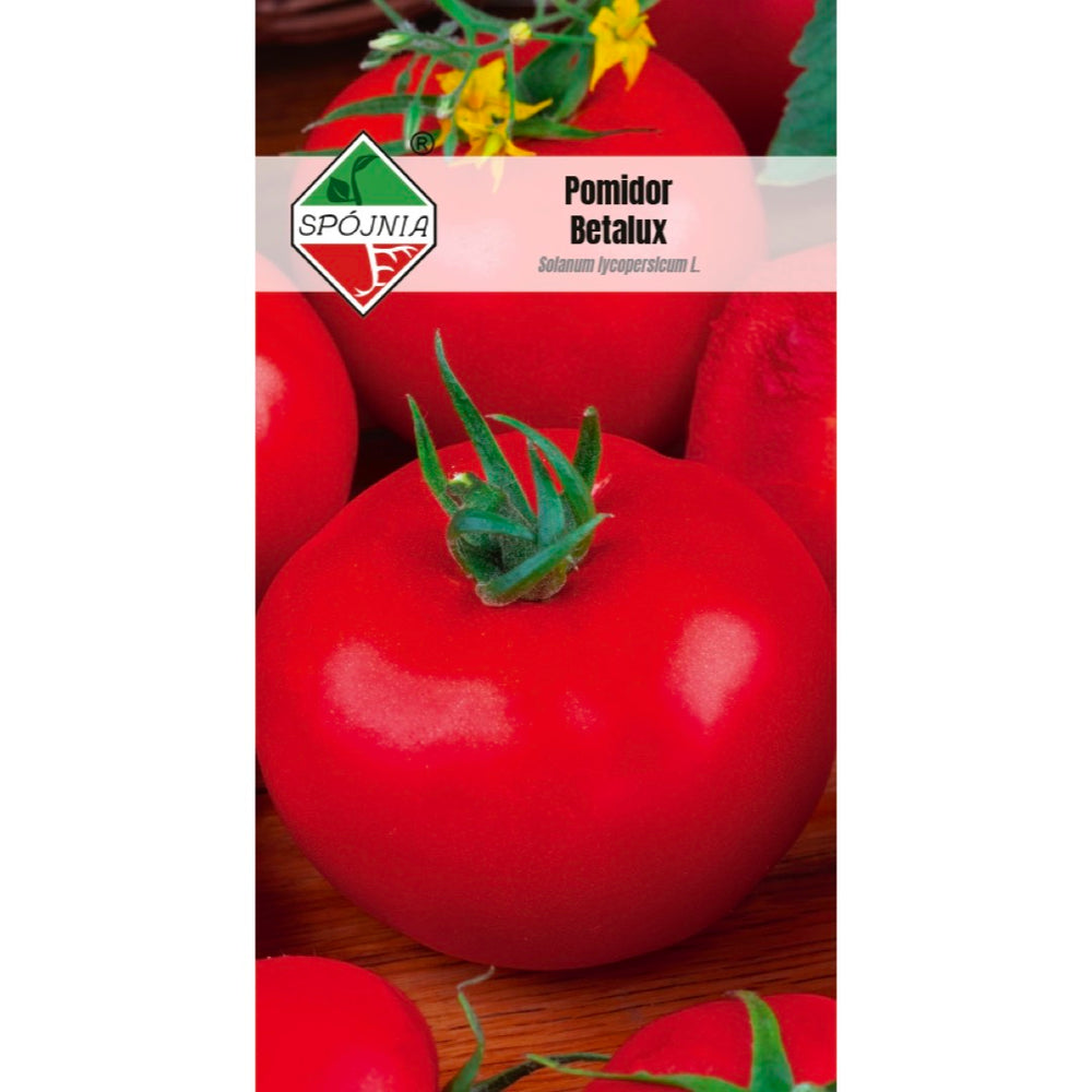 Saszetka nasion pomidora gruntowego Betalux Spójnia, 0,5 g