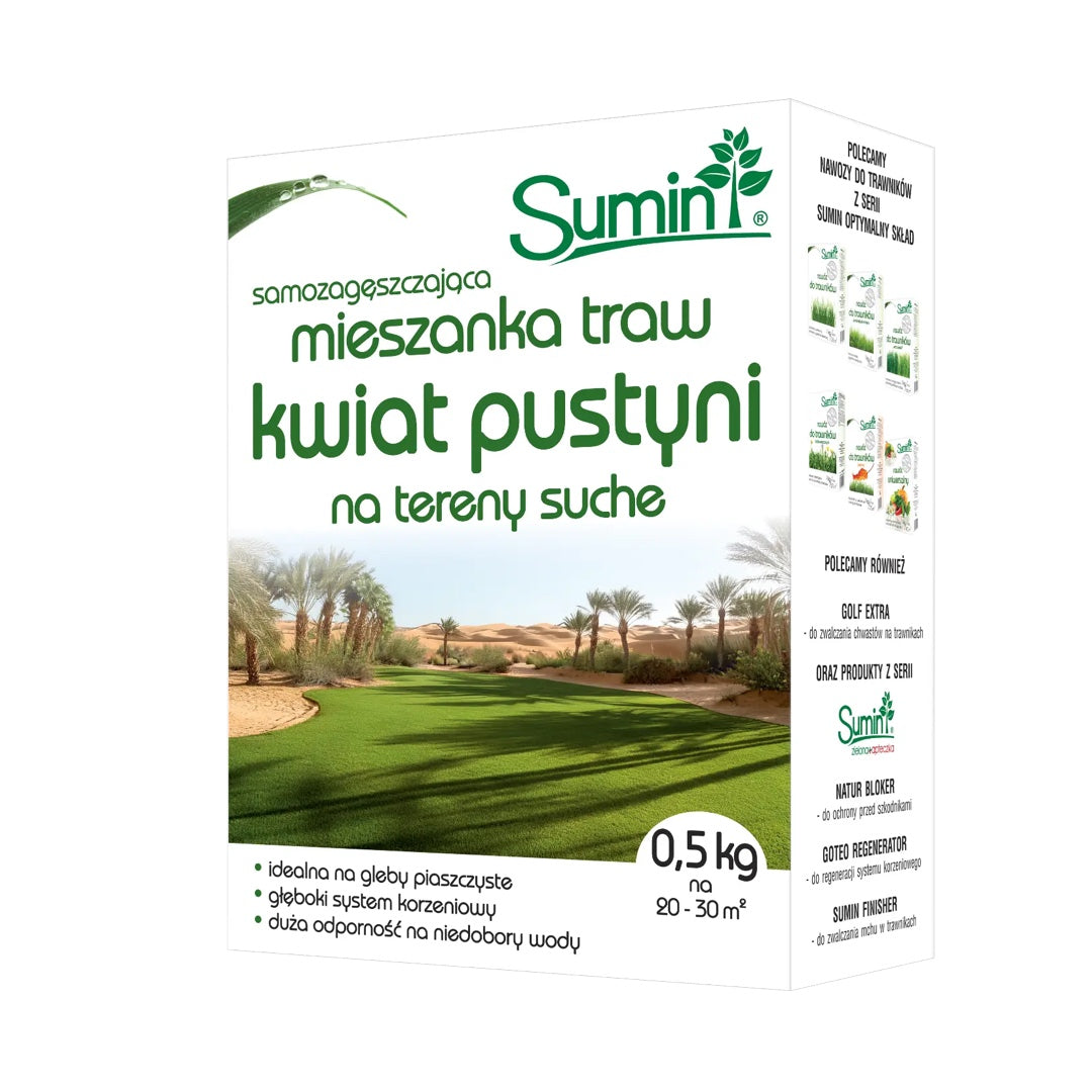 Pudełko 0,5 kg mieszanki traw Kwiat Pustyni Sumin na tereny suche