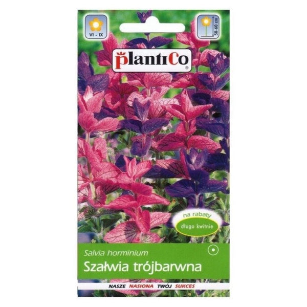 Saszetka nasion szałwii trójbarwnej PlantiCo, 0,5 g